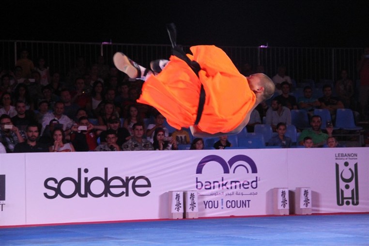 Martial Arts Festival